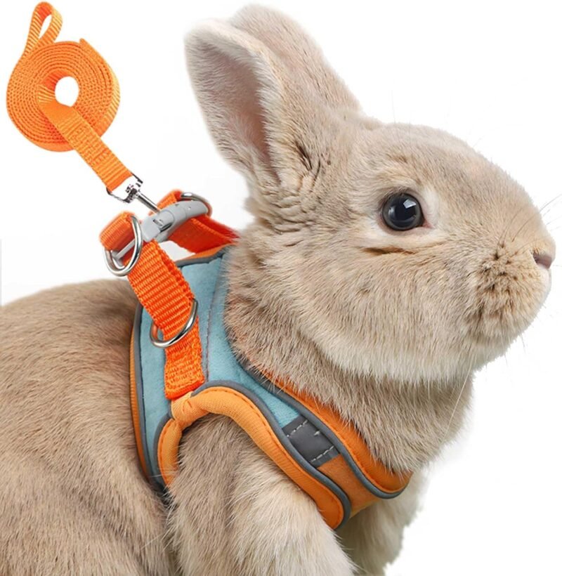 Adjustable Bunny Harness