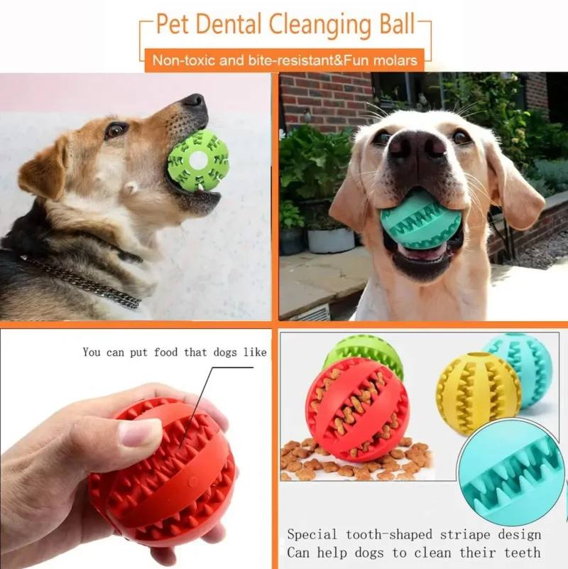 Dog Chew Toys