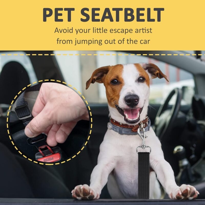 Dog Seat Belt