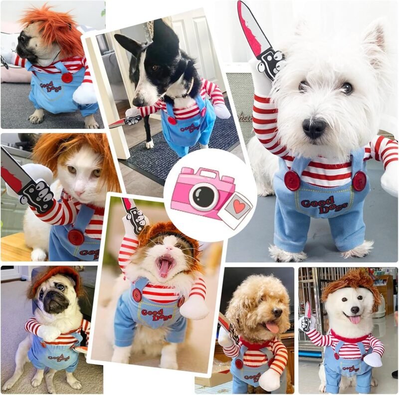 Halloween Dog Costumes