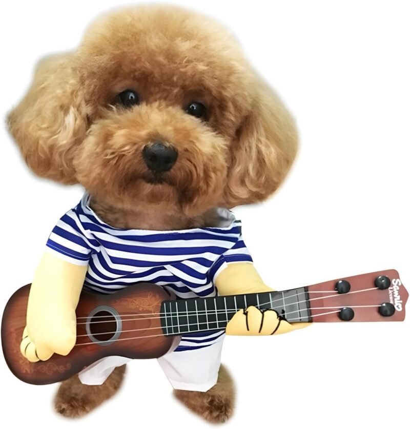 Pet Guitar Halloween Costumes