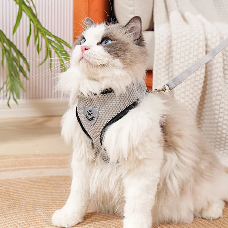 Cat Dog Harness