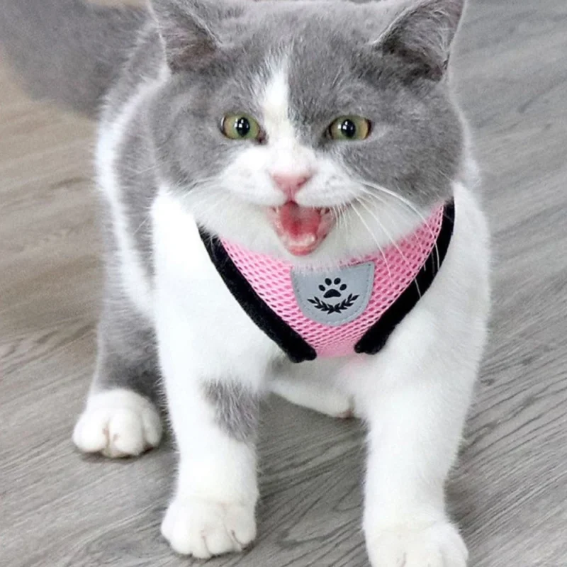 Cat Dog Harness