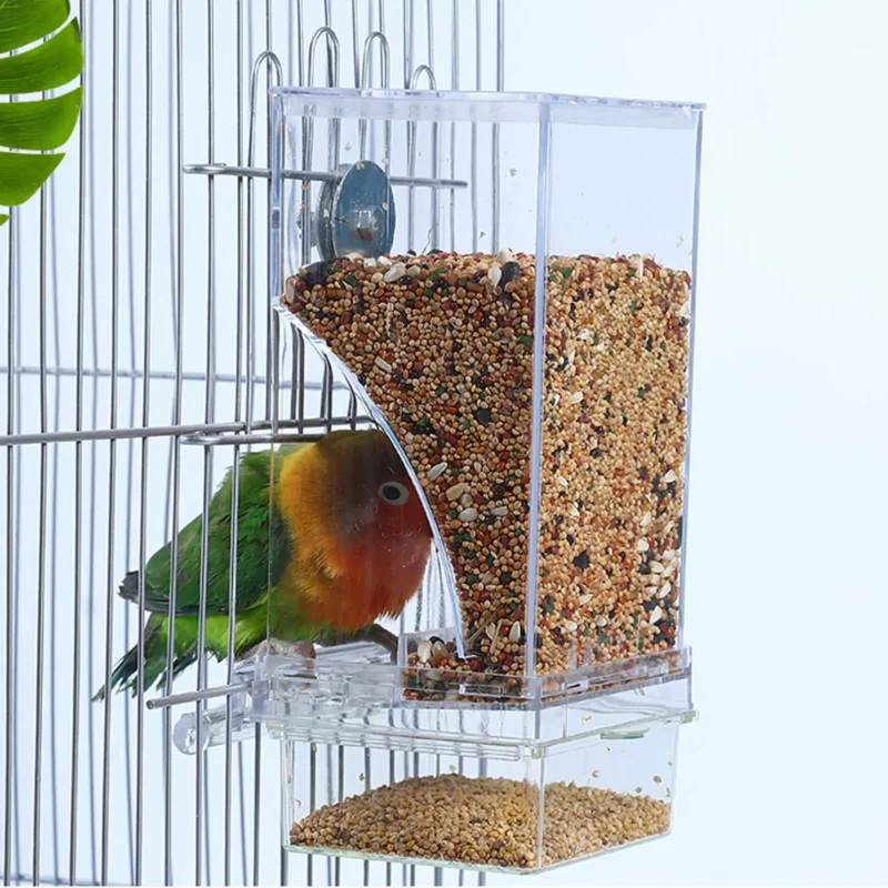 Automatic bird feeder