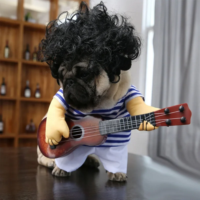 Pet Guitar Costume