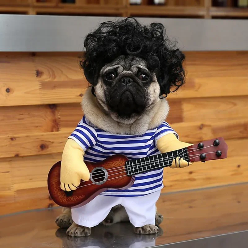 Pet Guitar Costume