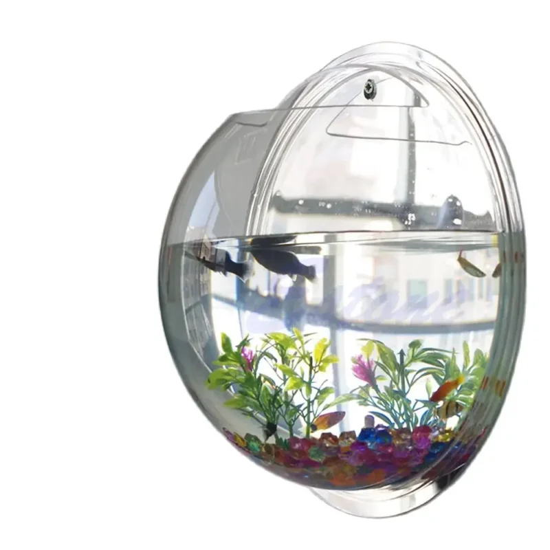 Wall Mounted Fish Bowl