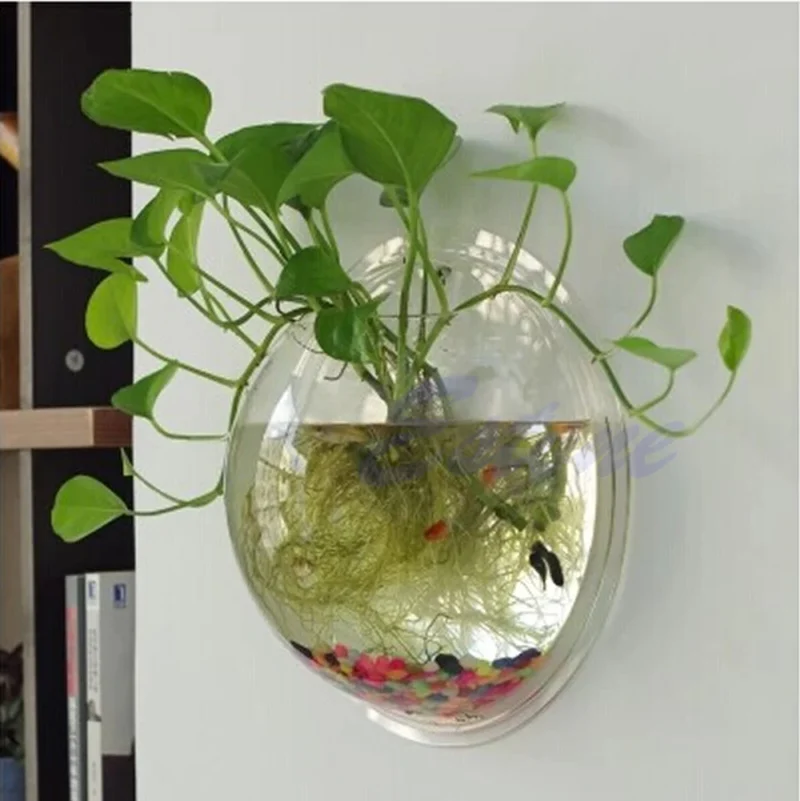 Wall Mounted Fish Bowl