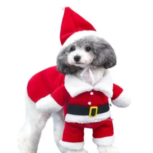 Christmas Dog Santa Costume